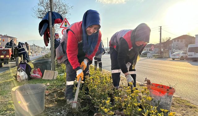 Düzce’yi kadınlar güzelleştiriyor