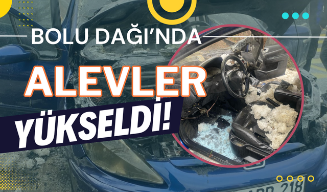 Bolu Dağı'nda alevler yükseldi!