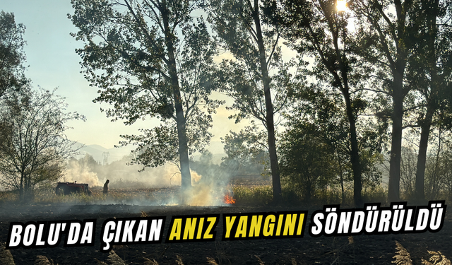 Bolu'da çıkan anız yangını söndürüldü