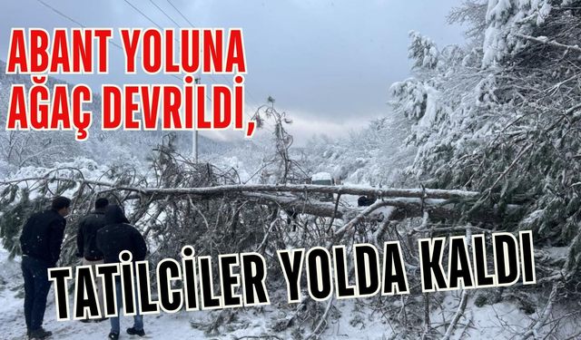 Abant yoluna ağaç devrildi, tatilciler yolda kaldı