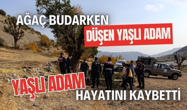 Ağaç budarken düşen yaşlı adam hayatını kaybetti