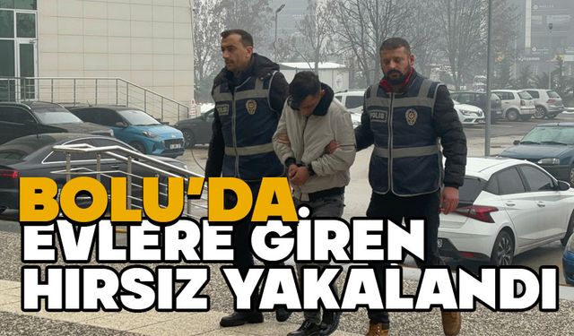 Bolu'da evlere giren hırsız yakalandı