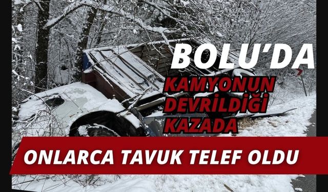 Bolu'da kamyonun devrildiği kazada onlarca tavuk telef oldu