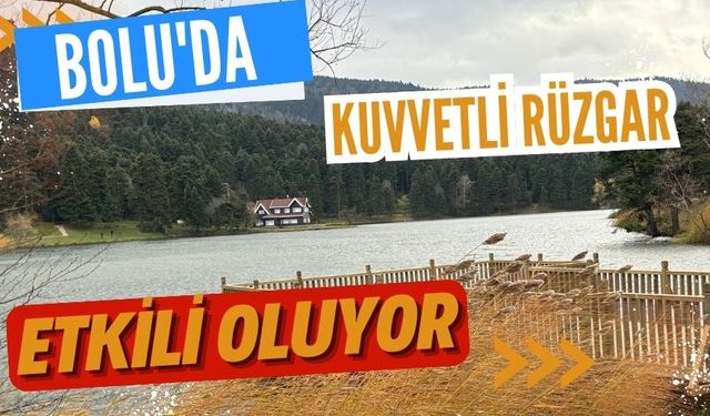 Bolu'da kuvvetli rüzgar etkili oluyor