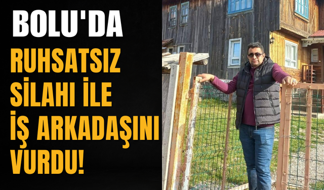 Bolu'da ruhsatsız silahı ile iş arkadaşını vurdu!