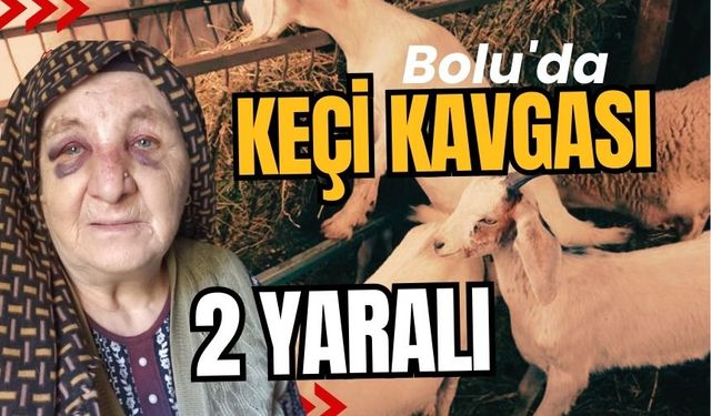 Bolu'da keçi kavgası; 2 yaralı