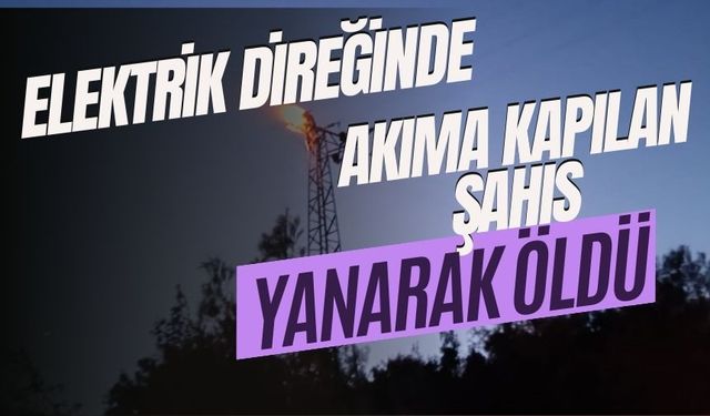 Elektrik direğinde akıma kapılan şahıs yanarak öldü