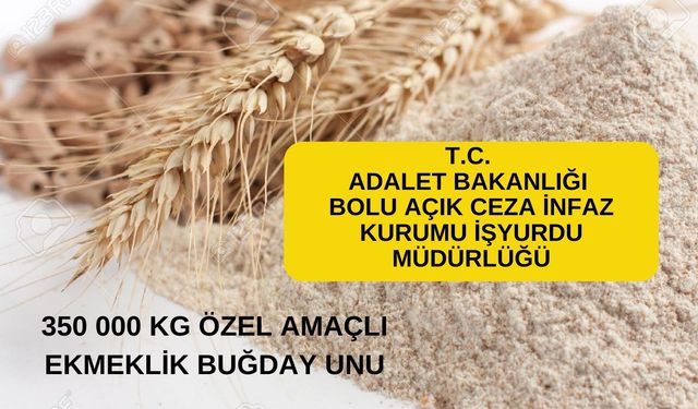 350 000 KG ÖZEL AMAÇLI EKMEKLİK BUĞDAY UNU