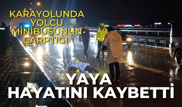 Karayolunda yolcu minibüsünün çarptığı yaya hayatını kaybetti