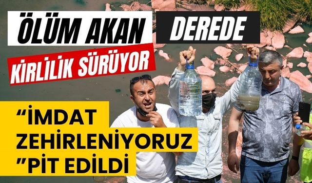 Ölüm akan derede kirlilik sürüyor: “İmdat zehirleniyoruz”