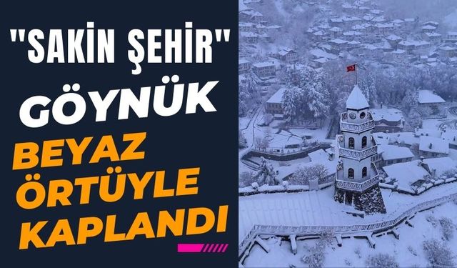 "Sakin şehir" Göynük beyaz örtüyle kaplandı