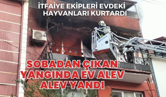 Sobadan çıkan yangında ev alev alev yandı