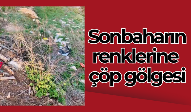 Sonbaharın renklerine çöp gölgesi