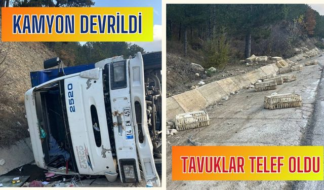 Bolu'nun Göynük ilçesinde devrilen kamyonun sürücüsü yaralandı