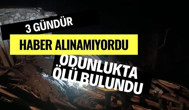 3 gündür haber alınamıyordu, odunlukta ölü bulundu