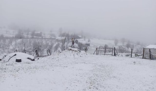 Sakarya'da kar kalınlığı 10 santimetreye ulaştı