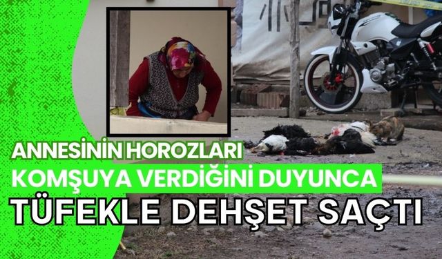 Annesinin horozları komşuya verdiğini duyunca tüfekle dehşet saçtı