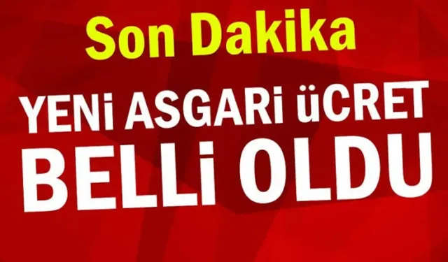 Yeni asgari ücret belli oldu