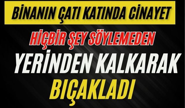 Binanın çatı katında cinayet: Hiçbir şey söylemeden yerinden kalkarak bıçakladı