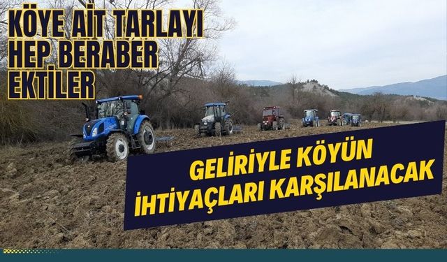 Köye ait tarlayı hep beraber ektiler: Geliriyle köyün ihtiyaçları karşılanacak