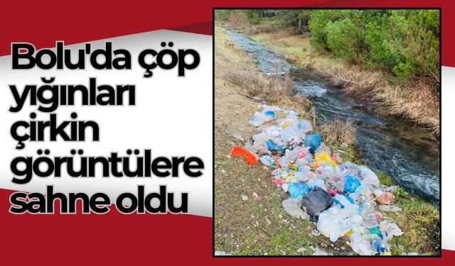 Bolu'da çöp yığınları çirkin görüntülere sahne oldu