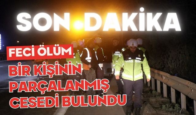 Feci ölüm: Bir kişi parçalanmış halde bulundu