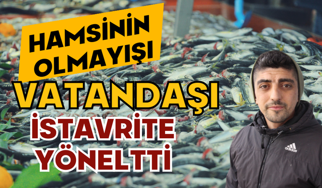 Hamsinin olmayışı, vatandaşı istavrite yöneltti