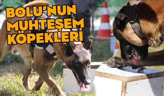 Pako ve Hera'dan zehir tacirlerine geçit yok