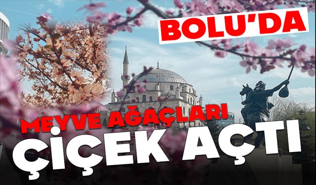 BOLU’DA  MEYVE AĞAÇLARI ÇİÇEK AÇTI