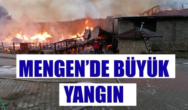 Mengen'de büyük yangın