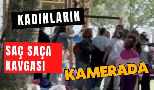 Kadınların saç saça kavgası kamerada