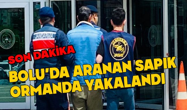 Bolu'da aranan sapık ormanda yakalandı