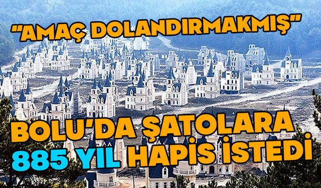 Bolu'da "şato" sanıklarına 885 yıl hapis
