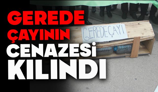Gerede Çayı'nın "Cenazesi" Kılındı: Çevre Mücadelesinde Sembol Eylem