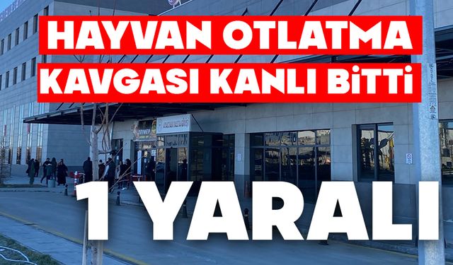Havyan otlatma kavgası kanlı bitti: 1 yaralı