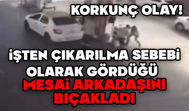 İşten çıkartılma sebebi olarak gördüğü mesai arkadaşını bıçakladı