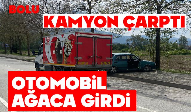 Kamyon çarptı, otomobil ağaca girdi