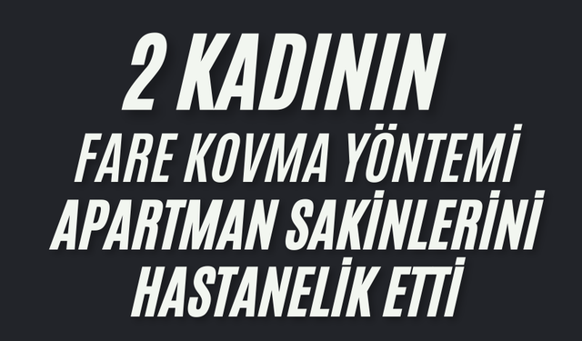 iki kadının "fare kovma" yöntemi apartman sakinlerini hastanelik etti