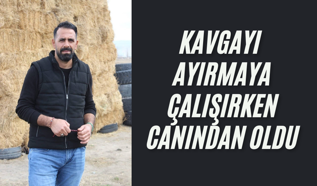 Kavgayı ayırmaya çalışırken canından oldu
