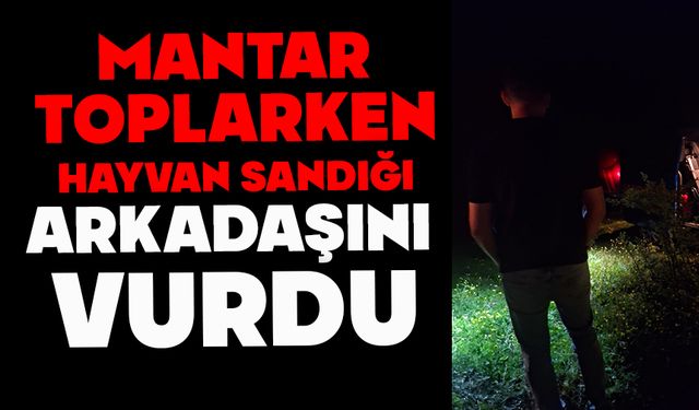 Mantar toplarken yabani hayvan sandığı arkadaşını av tüfeğiyle vurdu