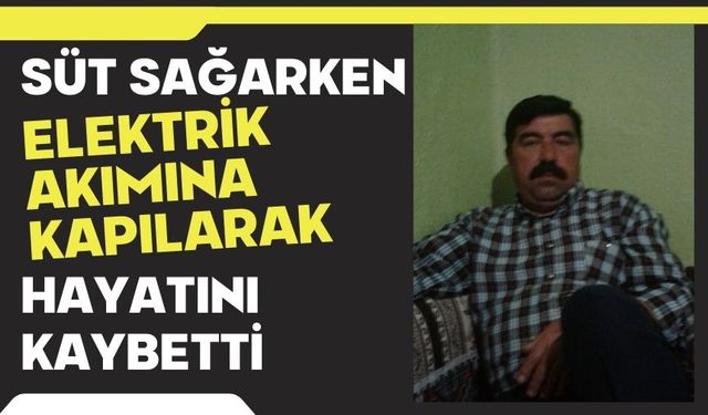 Süt sağarken elektrik akımına kapılarak hayatını kaybetti