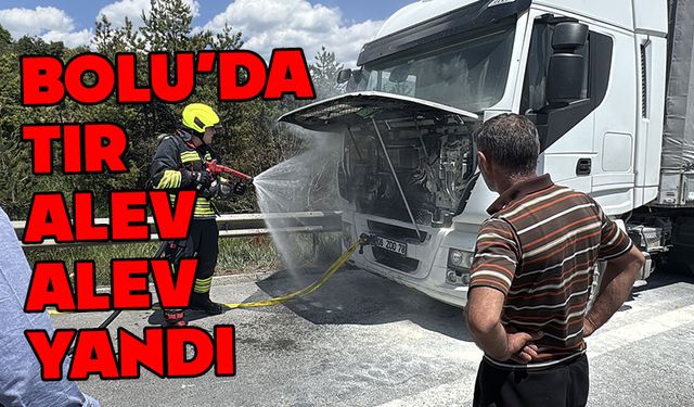 Bolu'da tır alev alev yandı