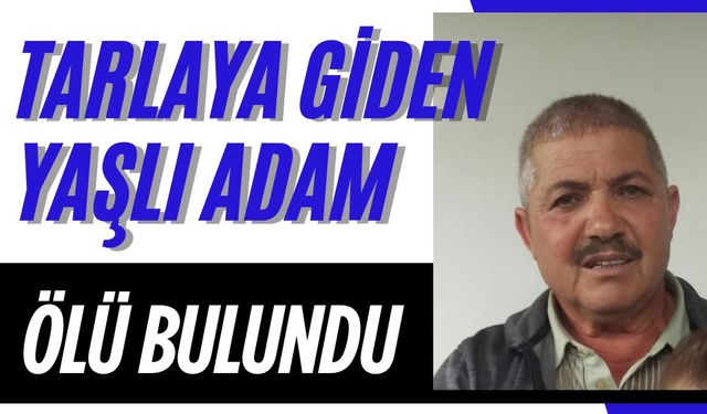 Tarlaya giden yaşlı adam ölü bulundu