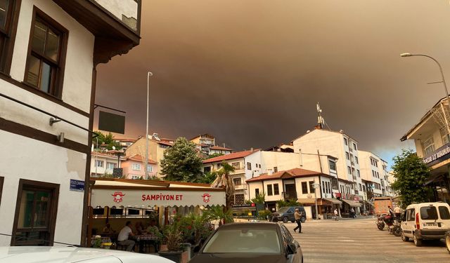 Sakarya'daki orman yangını nedeniyle Bilecik’te 1 köy boşaltılıyor