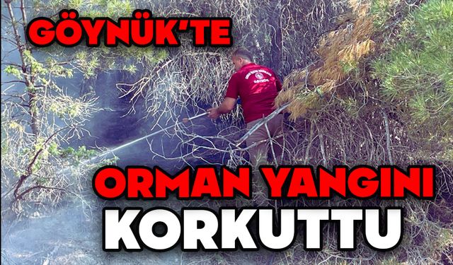 Göynük’te Orman Yangını Korkuttu