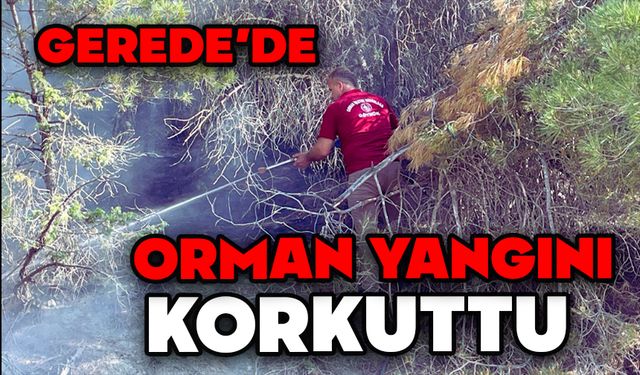 Göynük’te Orman Yangını Korkuttu
