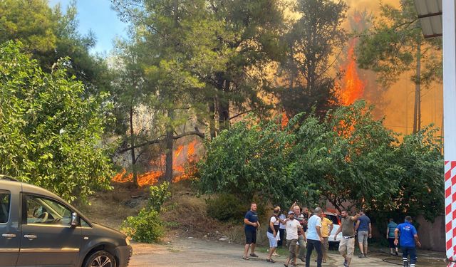 Antalya'da ormanlık alanda yangın paniği