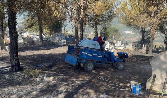 Alaplı'da ormanlık alanda çıkan yangın kontrol altına alındı