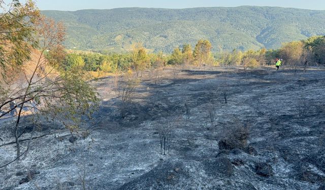 Düzce-Sakarya sınırındaki orman yangını kontrol altına alındı