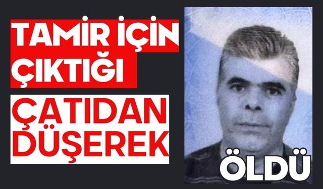 Tamir için çıktığı çatıdan düşerek öldü